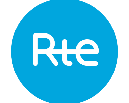 RTE-cap-maurienne-reseau-electricite-energie gonk marylene goncalves marylène gonçalves lyon DA design graphique direction artistique agence communication graphique graphisme création typographie charte logo print branding digital événementiel